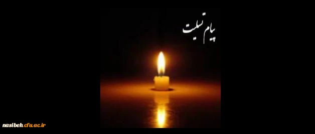 انالله و اناالیه راجعون

استاد ارجمند جناب آقای دکتر پاکراد 2