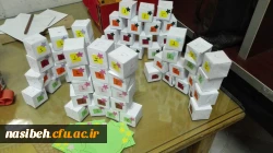 به روایت تصویر:

برگزاری  نمایشگاه دست سازه ها و وسایل آموزشی درس هدیه های آسمانی دانشجویان علوم تربیتی  نسیبه تهران
 7