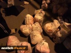 جمع آوری کمکهای غیر نقدی دانشجو معلمان پردیس نسیبه 4