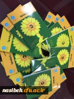 برگزاری همایش استانی 