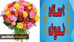 تبریک به اساتید برگزیده شده نمونه استان تهران  2
