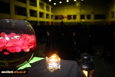 دومین اجتماع بزرگ هیئات دانشجویی دختران دانشگاه های استان تهران درپردیس نسیبه برگزارشد.