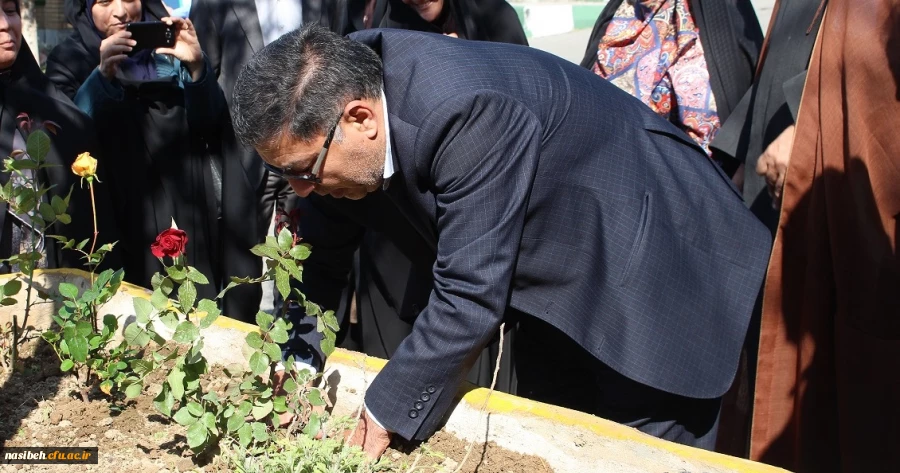 کاشت بوته گل رزبه مناسبت هفته درختکاری  5