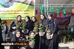 کاشت بوته گل رزبه مناسبت هفته درختکاری  3