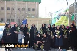 کاشت بوته گل رزبه مناسبت هفته درختکاری  4