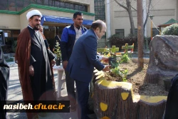 کاشت بوته گل رزبه مناسبت هفته درختکاری  7