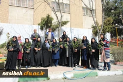 کاشت بوته گل رزبه مناسبت هفته درختکاری  2