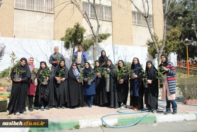 کاشت بوته گل رزبه مناسبت هفته درختکاری