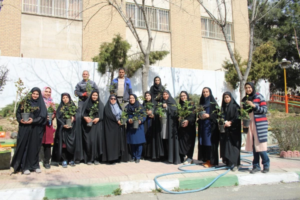 کاشت بوته گل رزبه مناسبت هفته درختکاری  2