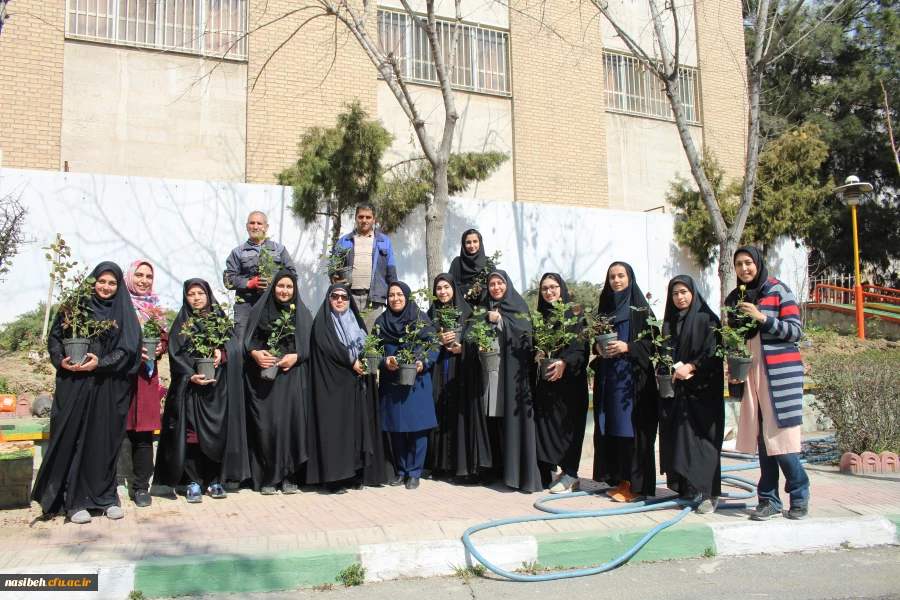 کاشت بوته گل رزبه مناسبت هفته درختکاری  2