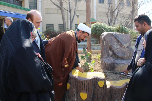 کاشت بوته گل رزبه مناسبت هفته درختکاری  8