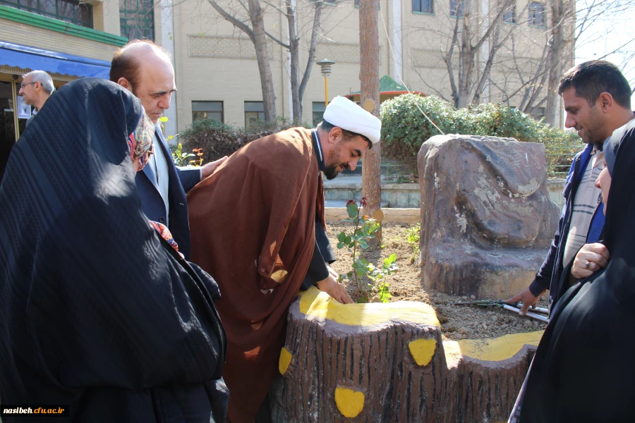 کاشت بوته گل رزبه مناسبت هفته درختکاری  8