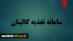 سامانه تغذیه