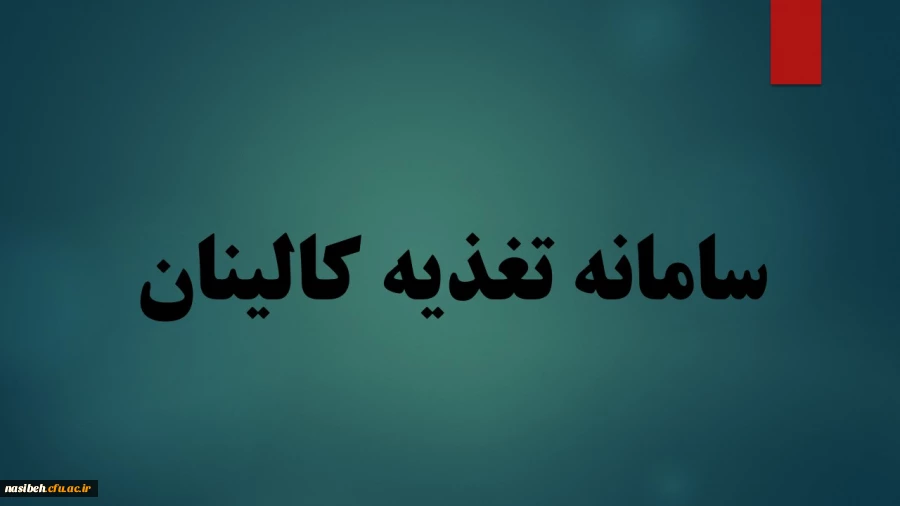 سامانه تغذیه