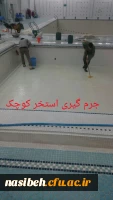 بهسازی فضای استخرپردیس نسیبه 2