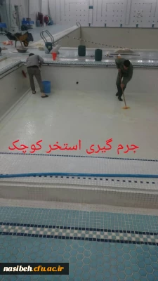 بهسازی فضای استخرپردیس نسیبه