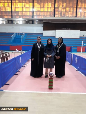 کسب مقام دوم استانی درمسابقات انتخابی المپیاد ورزشهای همگانی