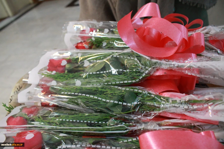 تقدیرازکارکنان پردیس به مناسبت روزکارمند  2تقدیرازکارکنان پردیس به مناسبت روزکارمند  3