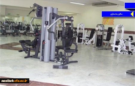 برنامه سالن ورزشی ترم پاییزپردیس نسیبه 5
