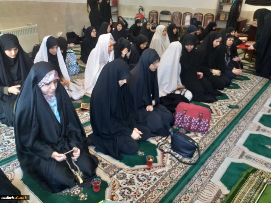 برگزاری مراسم عزاداری به مناسبت سالروزشهادت حضرت رقیه (س) 2