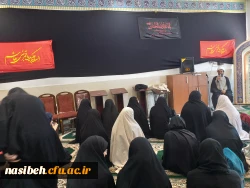 برگزاری مراسم عزاداری به مناسبت سالروزشهادت حضرت رقیه (س) 2