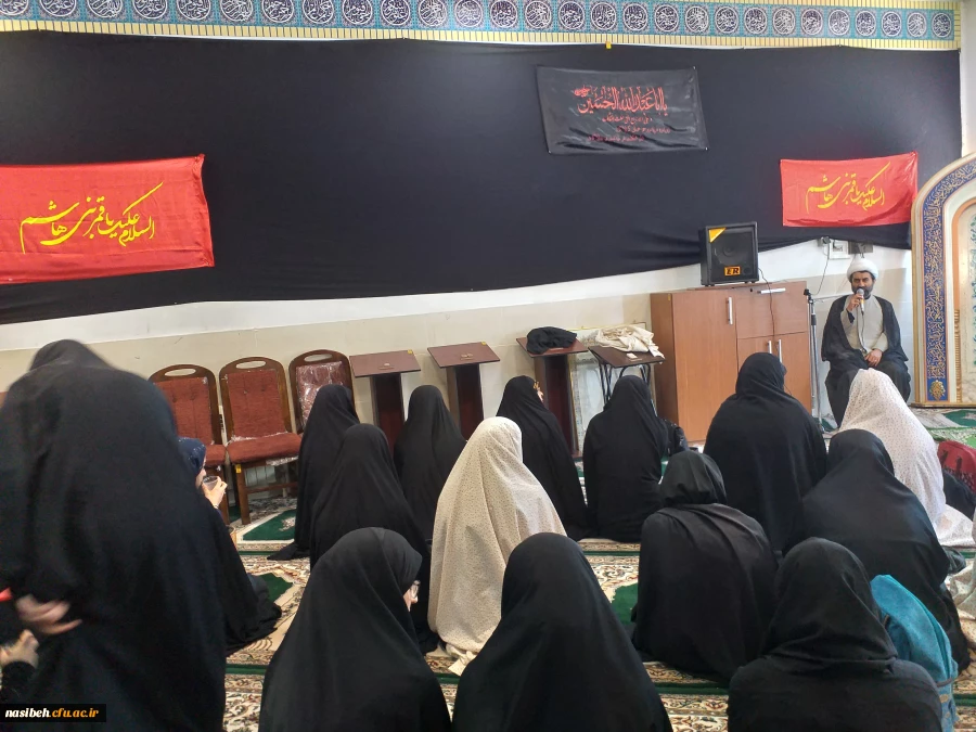 برگزاری مراسم عزاداری به مناسبت سالروزشهادت حضرت رقیه (س) 2