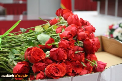 برگزاری مراسم استقبال ازنومعلمان 