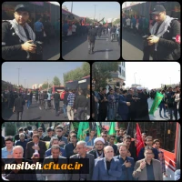 WhatsApp Image 2019-10-19 at 19.40.31