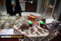 برگزاری جشنواره بومی محلی زیست بوم من  5