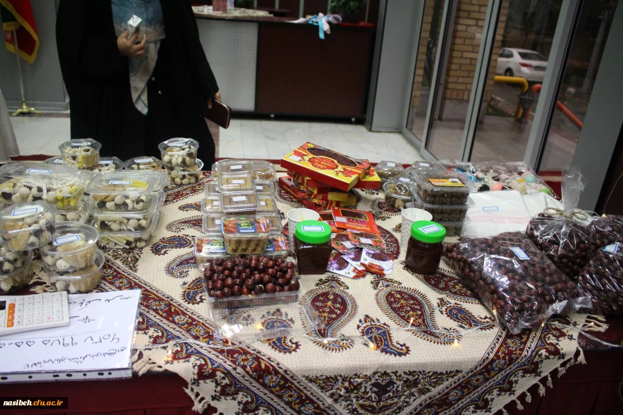 برگزاری جشنواره بومی محلی زیست بوم من  5