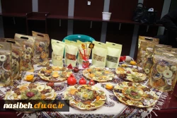 برگزاری جشنواره بومی محلی زیست بوم من  3