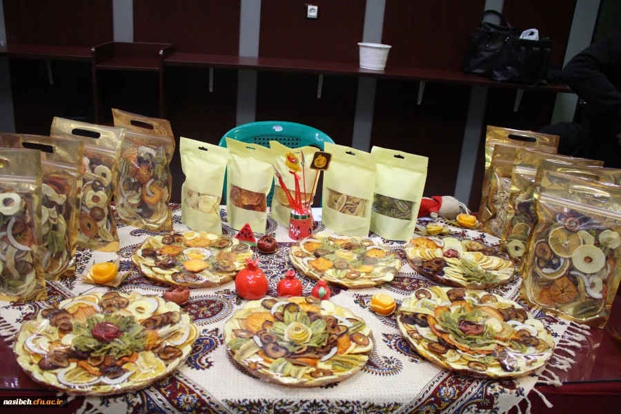 برگزاری جشنواره بومی محلی زیست بوم من  3