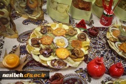 برگزاری جشنواره بومی محلی زیست بوم من  2