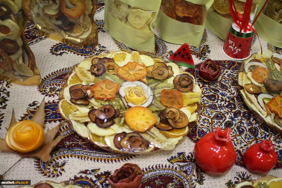 برگزاری جشنواره بومی محلی زیست بوم من  2