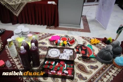 برگزاری جشنواره بومی محلی زیست بوم من  9