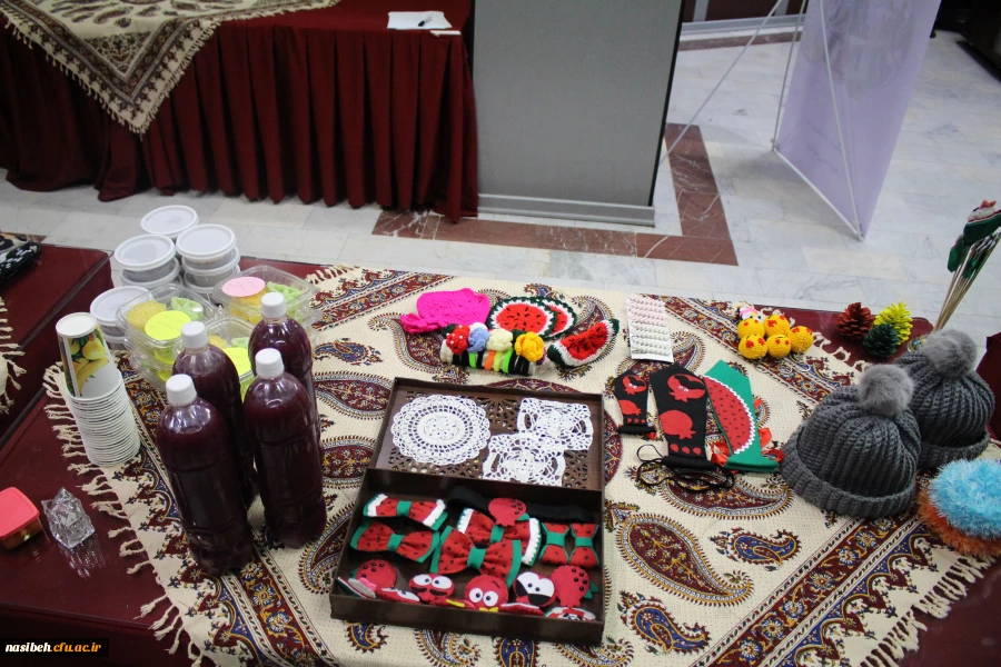 برگزاری جشنواره بومی محلی زیست بوم من  9