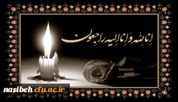 مراسم یادبود به مناسبت درگذشت جناب آقای سید صادق برجی 2