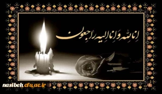 مراسم یادبود به مناسبت درگذشت جناب آقای سید صادق برجی