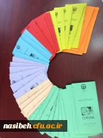 همایش علمی – تخصصی  مقابله با ویروس کرونا 2019  5