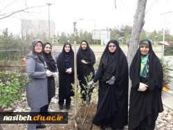 برگزاری روزدرختکاری درپردیس نسیبه  2