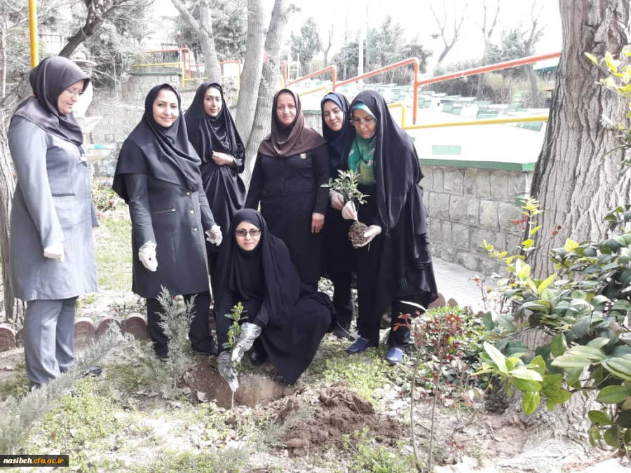 برگزاری روزدرختکاری درپردیس نسیبه  5