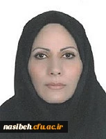 تصویر پرسنلی : خیابانچیان