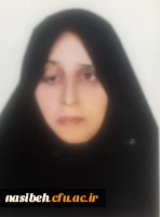 پرسنلی : طیبه شمسایی