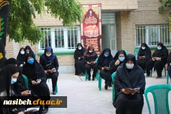 برگزاری مراسم پرفیض زیارت عاشورا 3