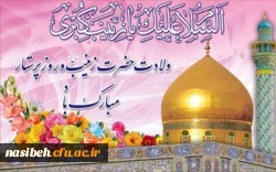 ولادت با سعادت حضرت زینب کبری (س) و روز پرستار مبارک باد 2