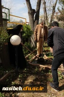 مراسم درختکاری در پردیس نسیبه 10