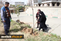 مراسم درختکاری در پردیس نسیبه 16