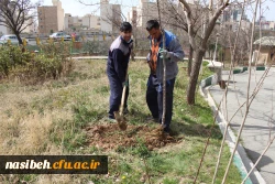 مراسم درختکاری در پردیس نسیبه 17