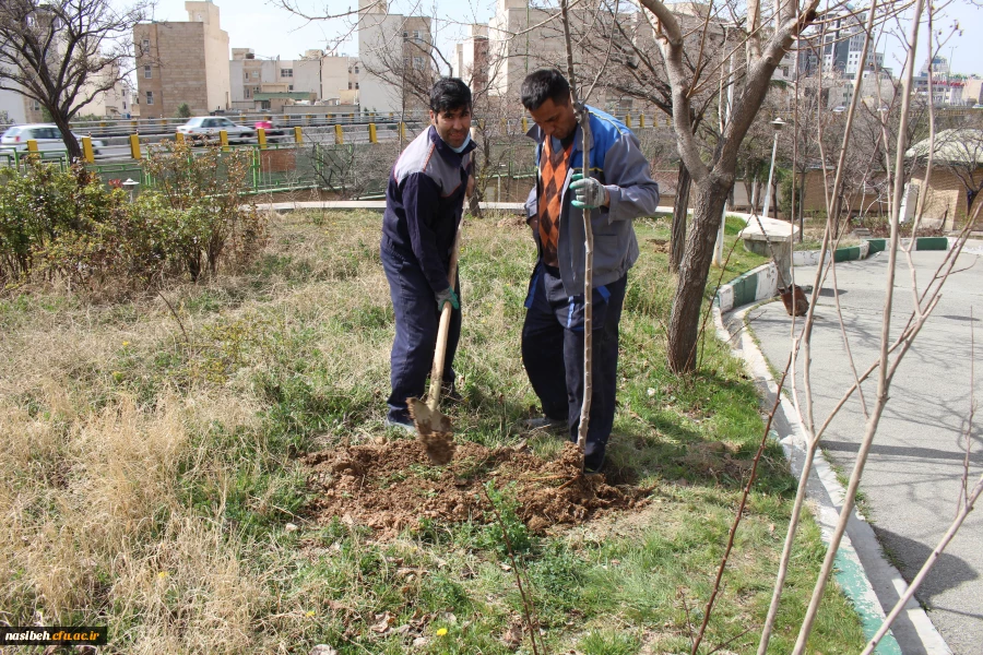 مراسم درختکاری در پردیس نسیبه 17