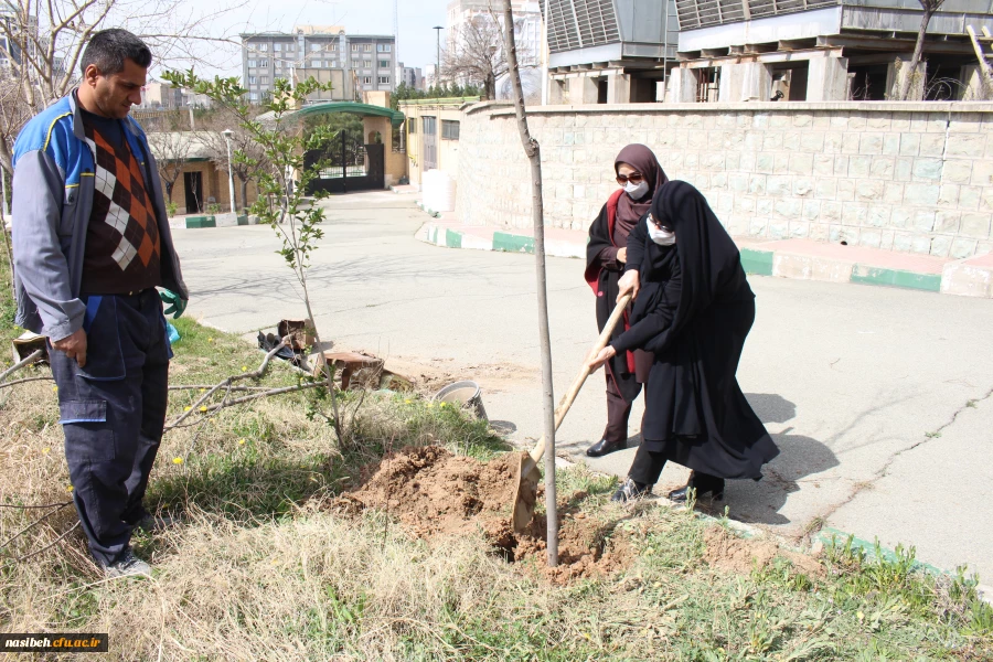 مراسم درختکاری در پردیس نسیبه  2